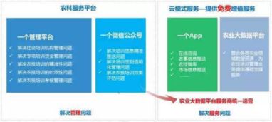 耕者為農，云為鋤——神州信息農業云的信息技術咨詢服務